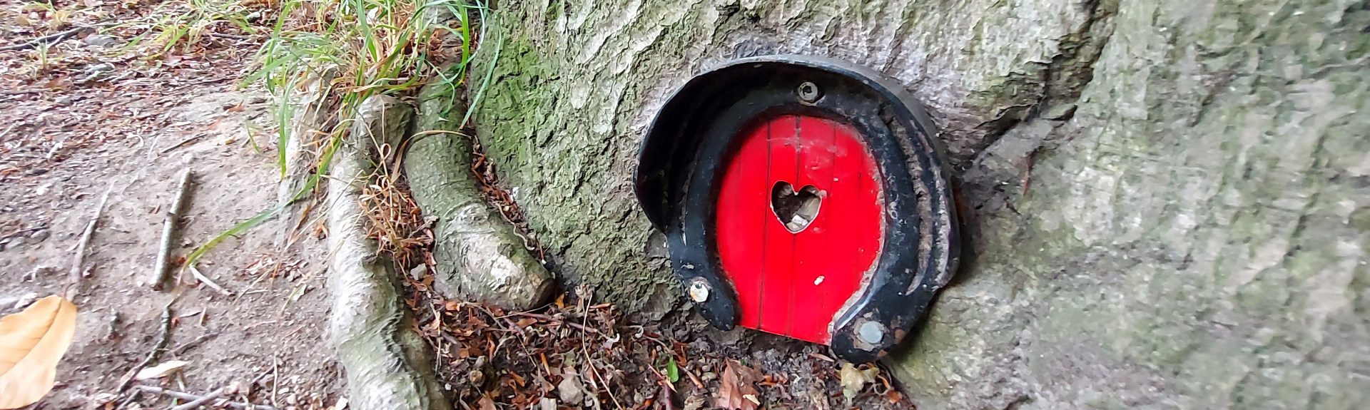 Gnome house in a tree